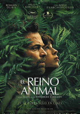 El reino animal