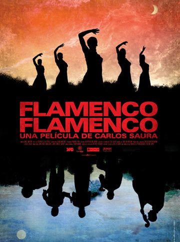 Flamenco, Flamenco