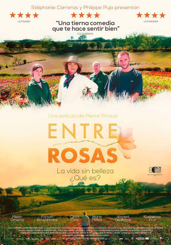 Entre Rosas