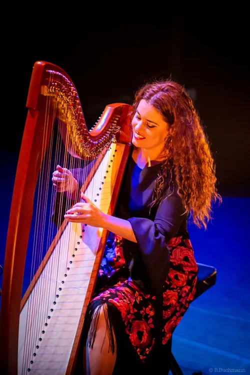 Concierto de Ana Crisman Trío