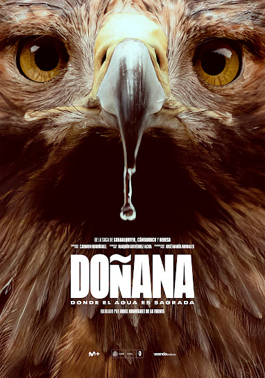 Doñana, donde el agua es sagrada