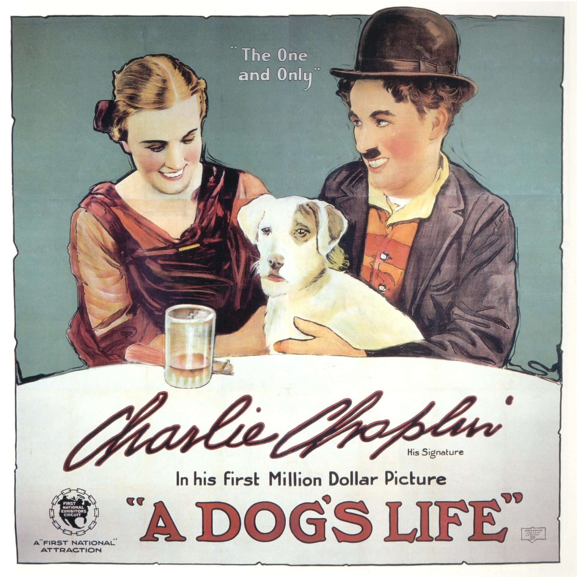 Vida de perro