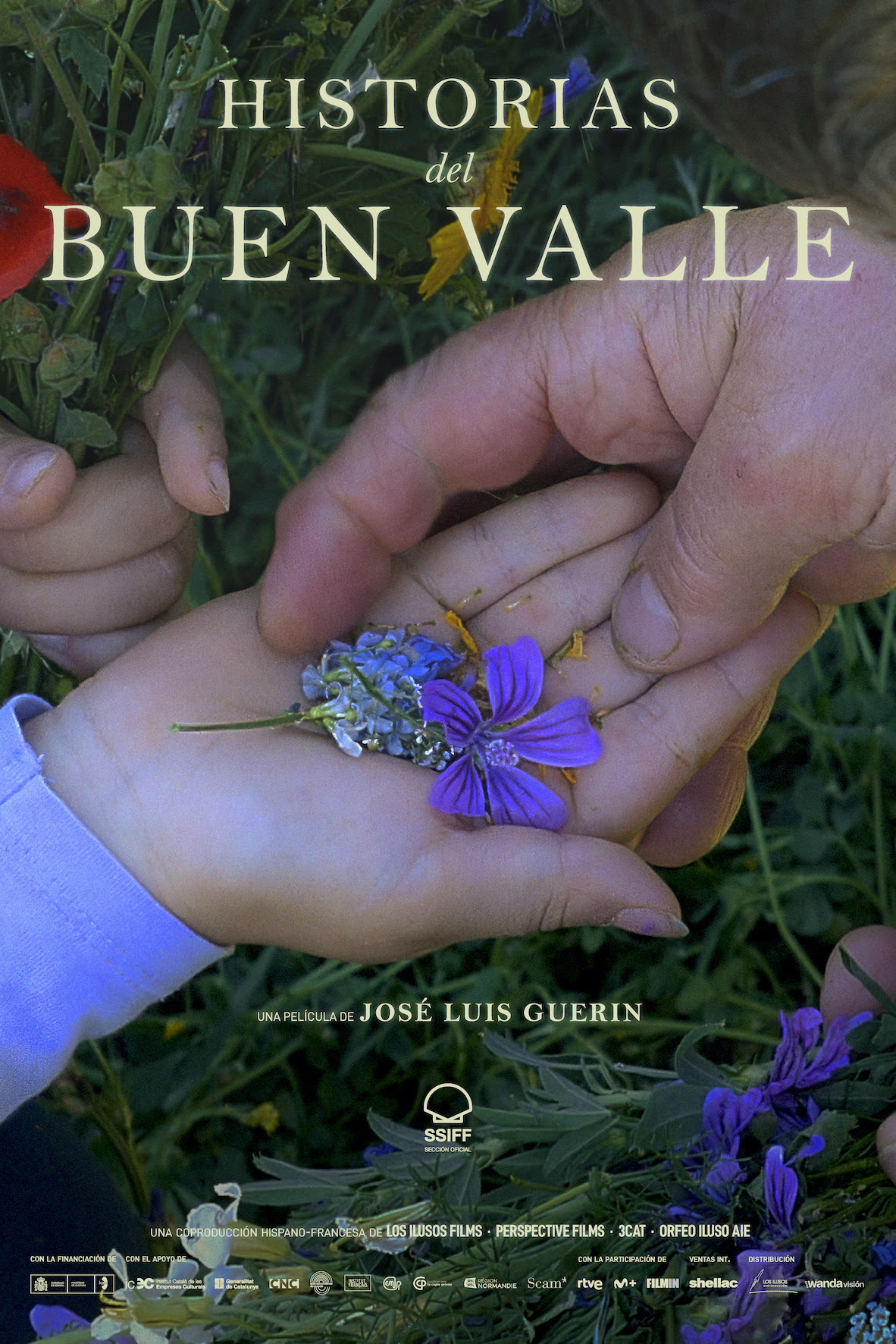 Historias del buen valle